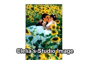 Clelia's Studio Image