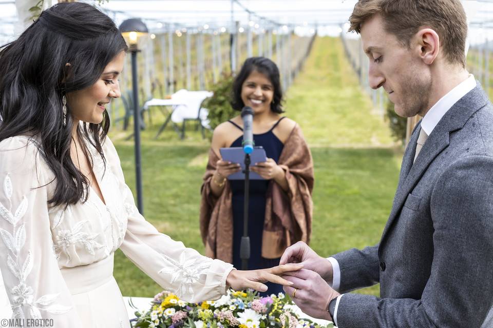 Shikra&Nick