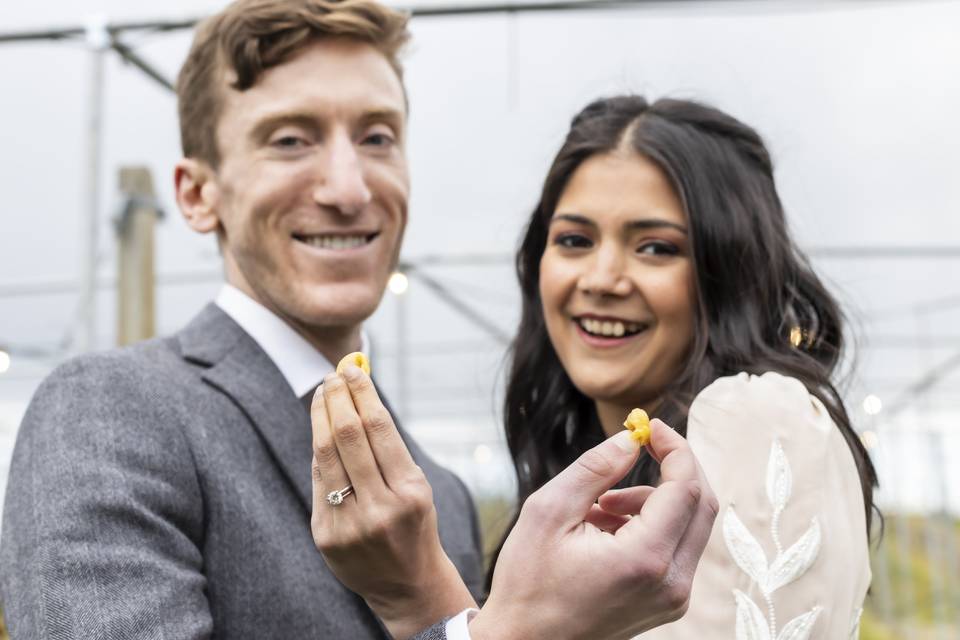Shikra&Nick
