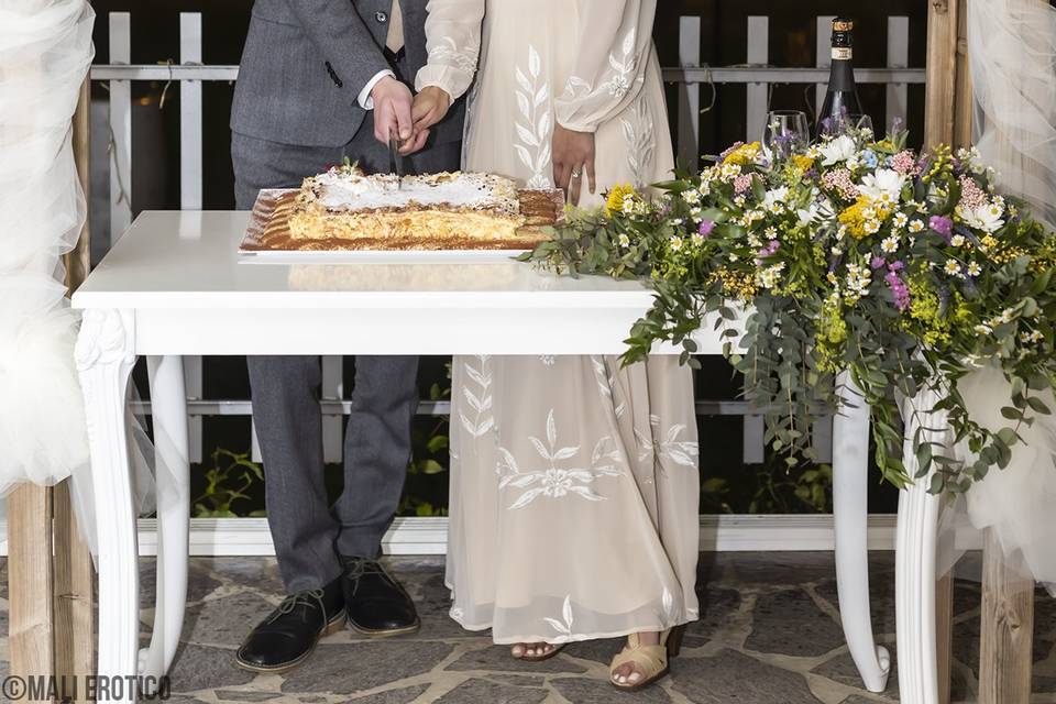 Shikra&Nick