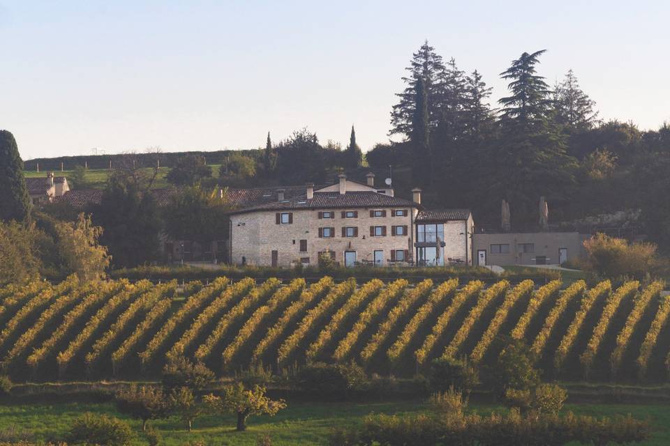Ca' del Moro Wine Retreat / La Collina dei Ciliegi