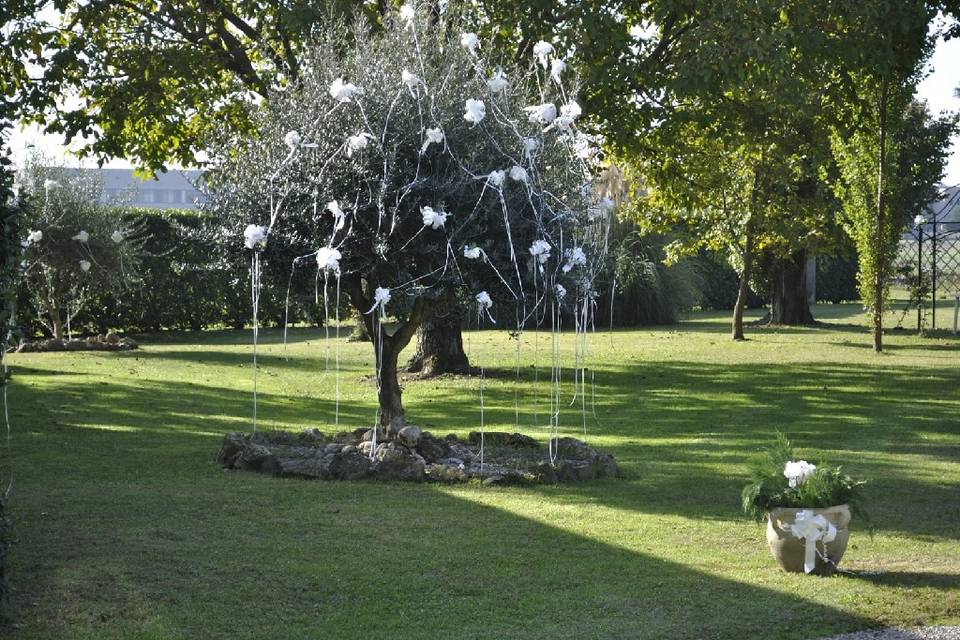 Giardino privato