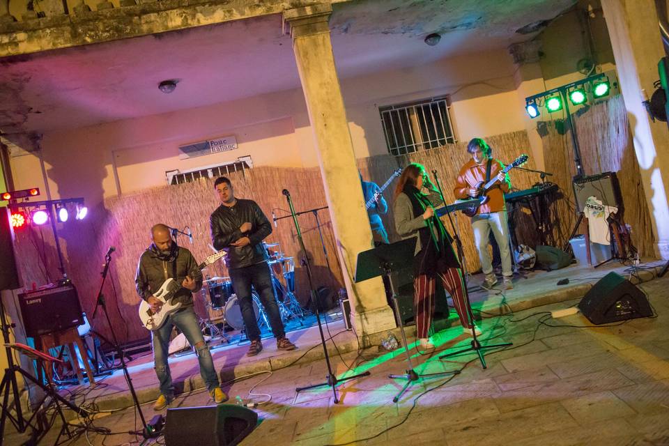 Ruler snakes - live band