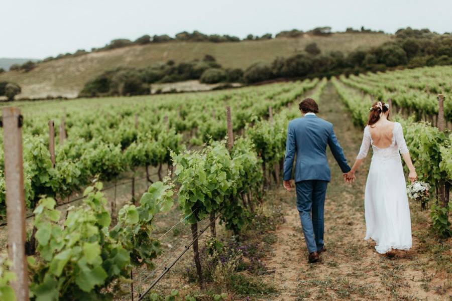 Vineyard wedding