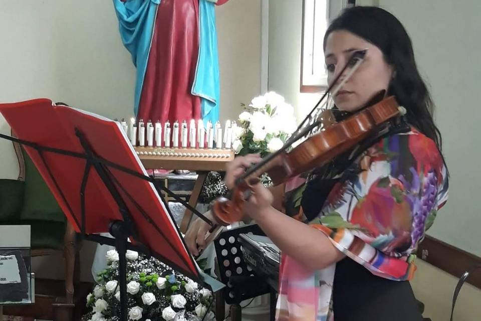 Violin - Wedding - Music