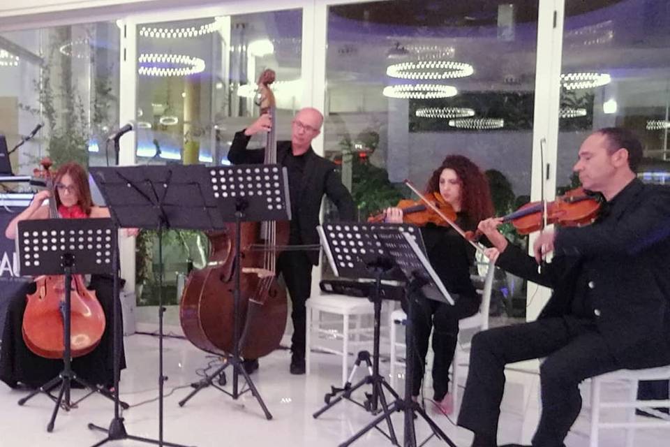 Quartetto archi