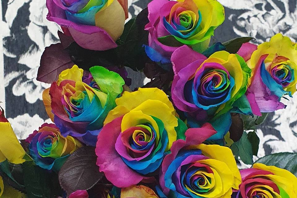 Rose arcobaleno o rose arlecch