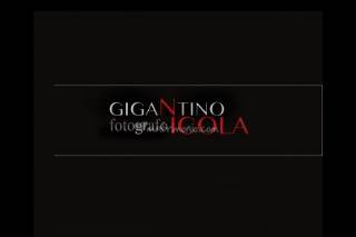 Nicola Gigantino logo