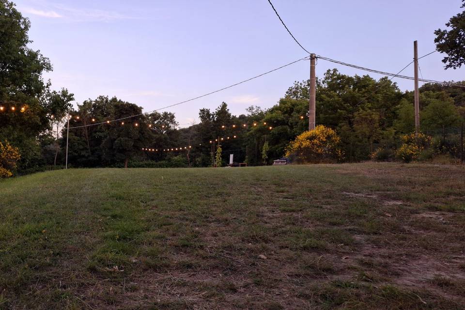 Venue