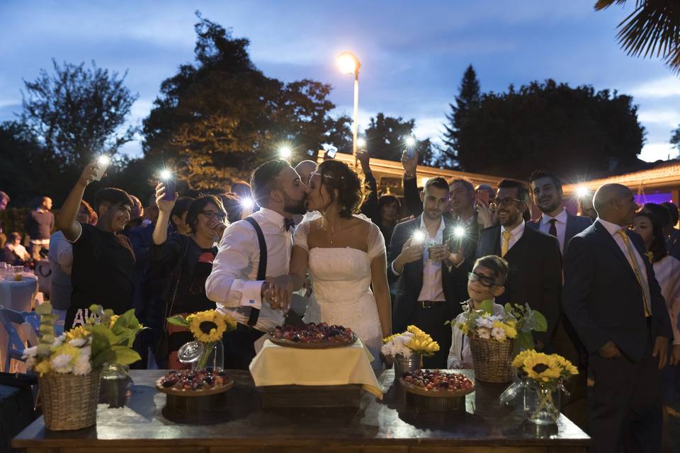 Groom preparation