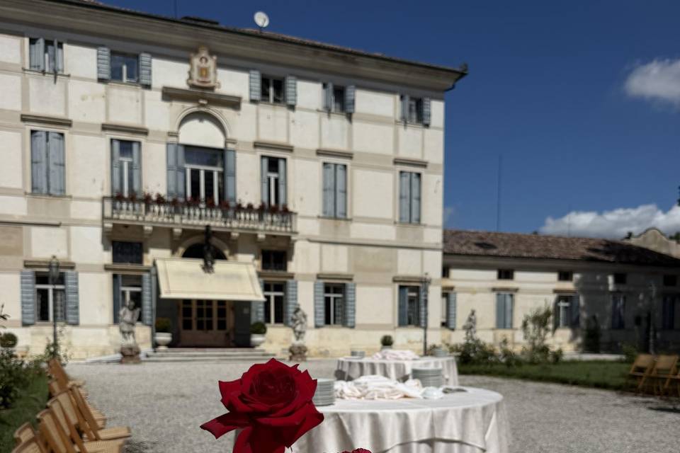 Aperitivo