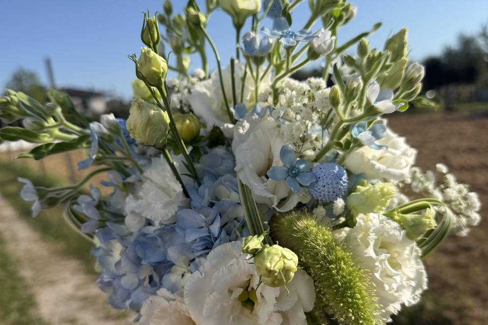Bouquet