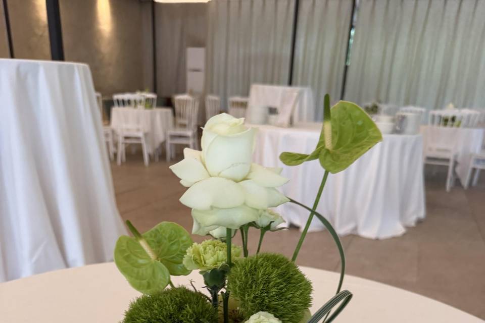 Frutta e fiore