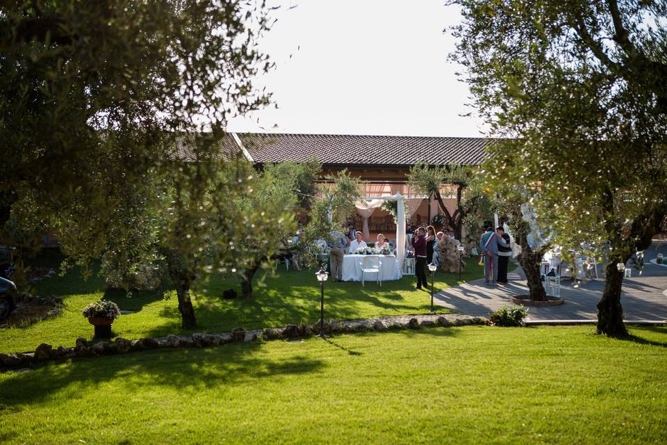 Matrimonio bordo piscina