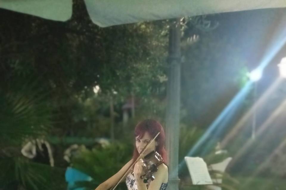 DANCE Violino