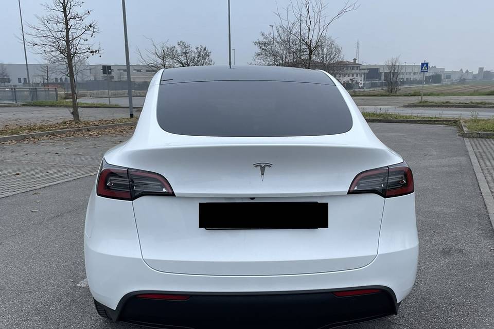 Noleggio Tesla