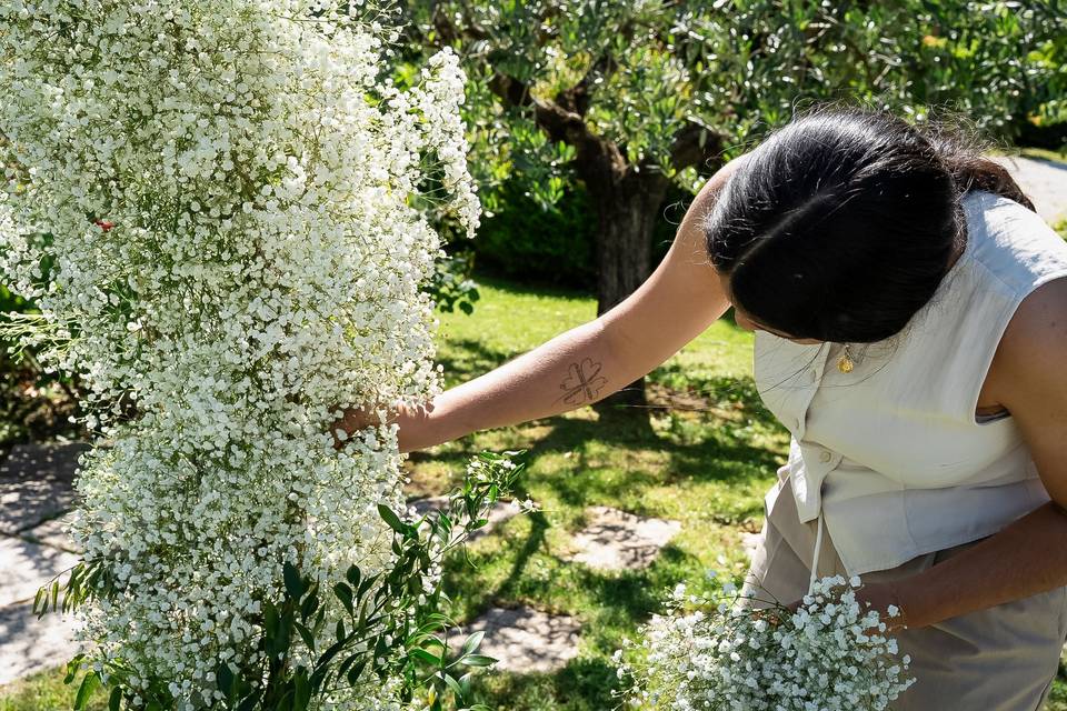 Losi Floral Designer