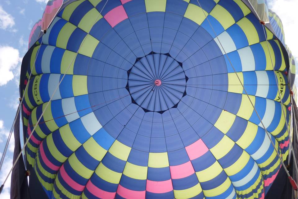 Colori