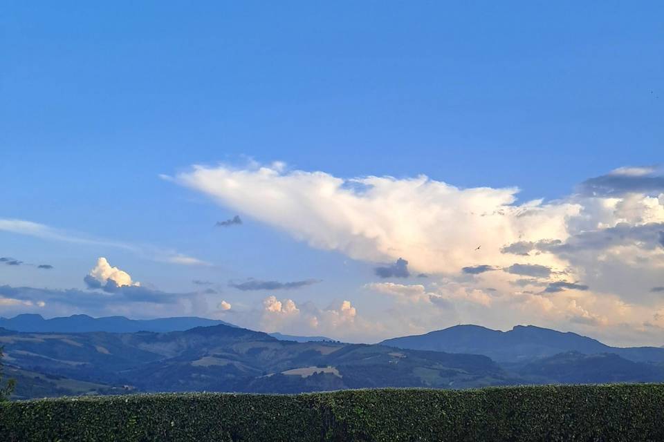 Panorama