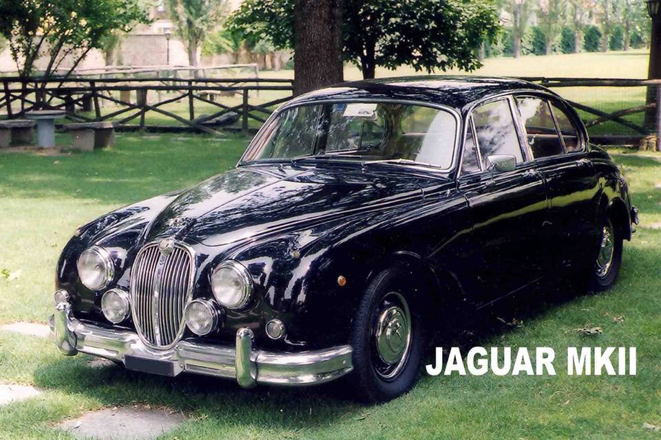 Jaguar mkii