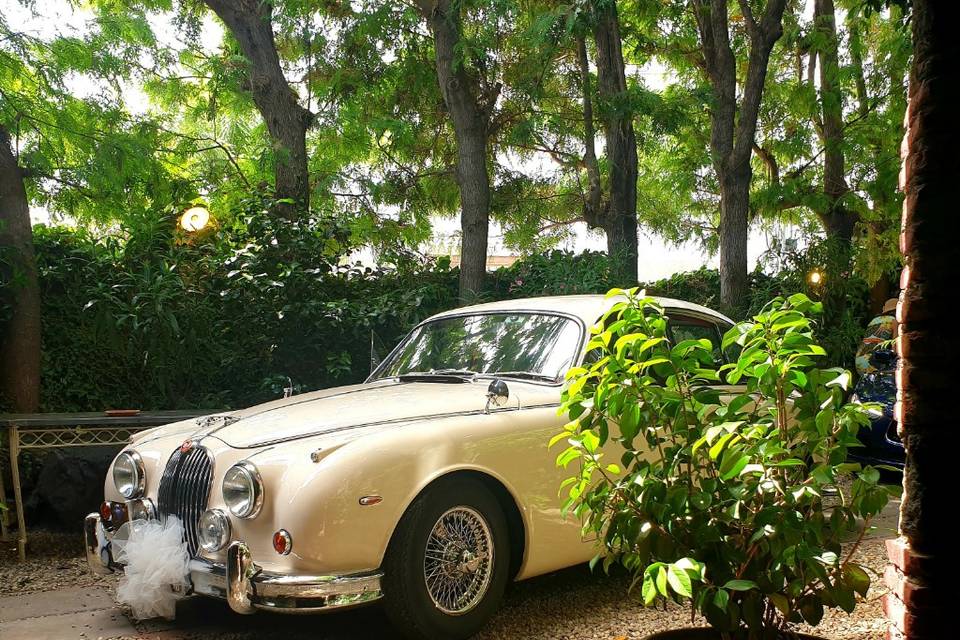 Jaguar MK2