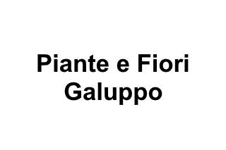 Piante e Fiori Galuppo logo