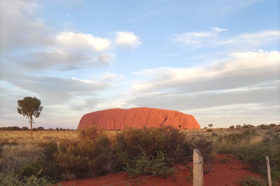 Sposarsi in Australia