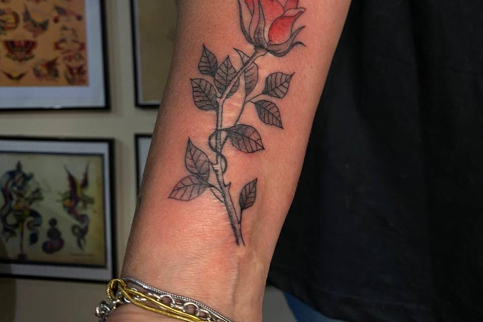 Rosa tattoo tatuaggi