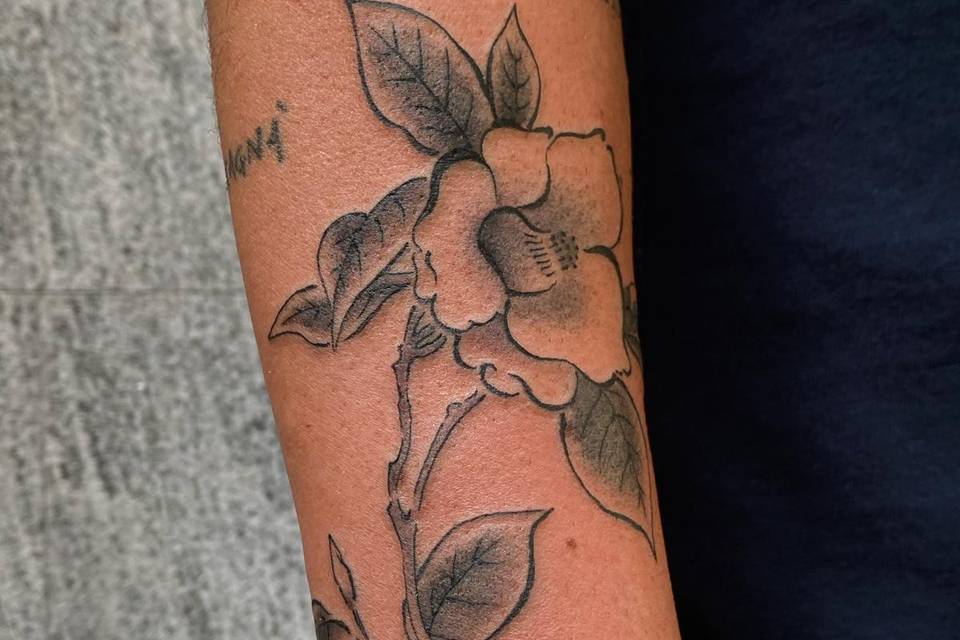 Camelia tattoo tatuaggi