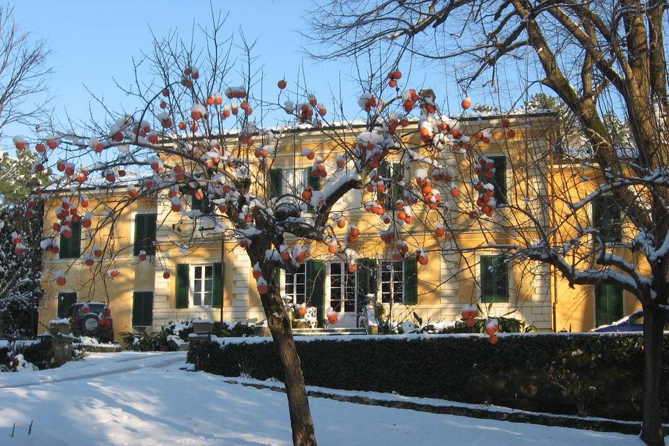 Giardino d'inverno