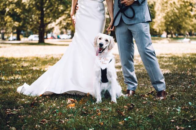 Le Canaglie Wedding Dog Service