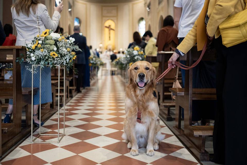 Fotografo matrimonio Milano