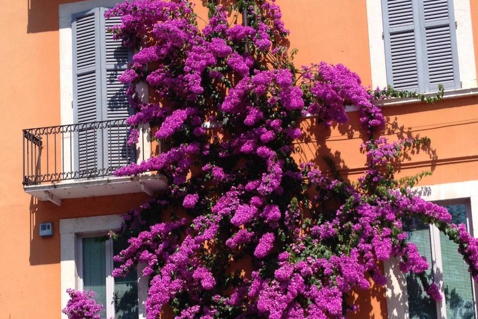 Lake Garda Celebrant