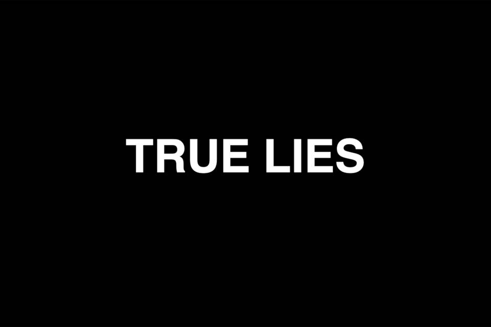 True Lies Logo