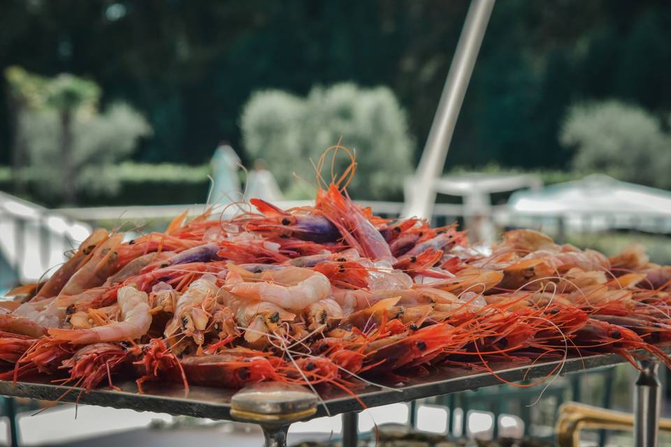 Crudo di mare