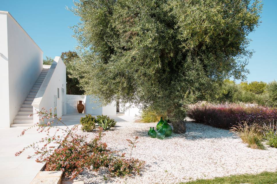 Giardino