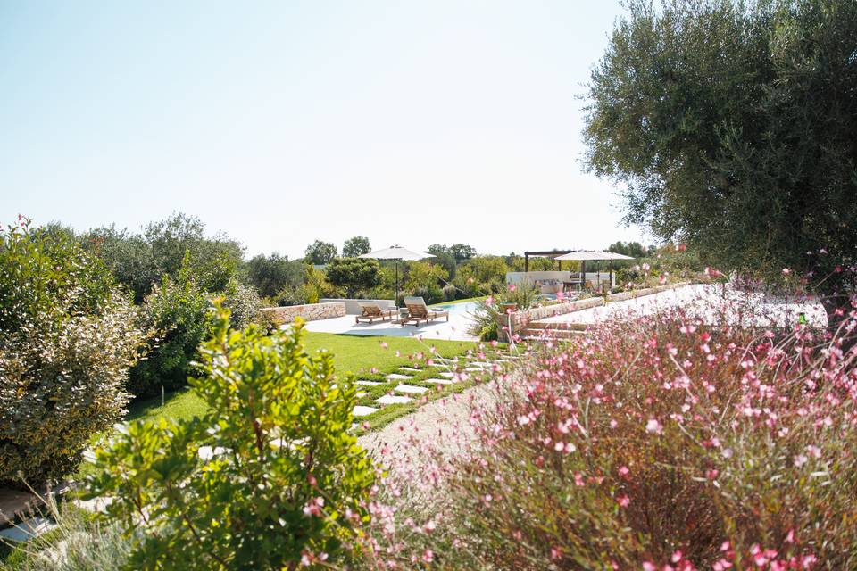 Giardino