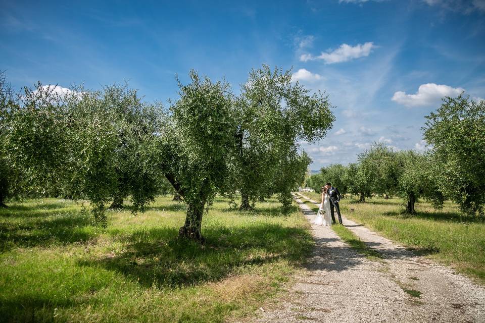 Matrimonio - natura - campagna