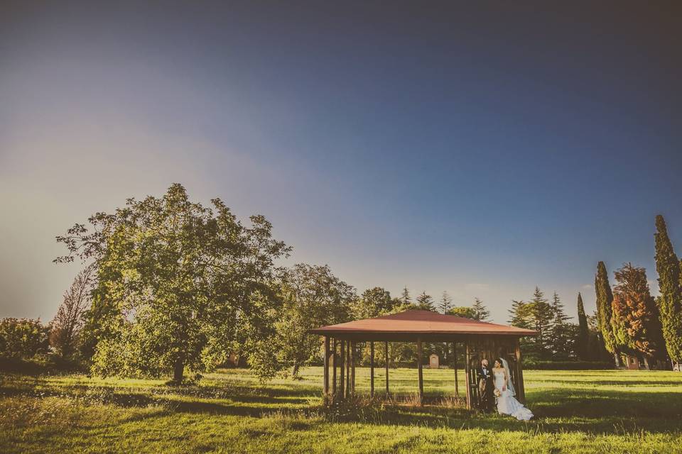 Matrimonio - natura - roma