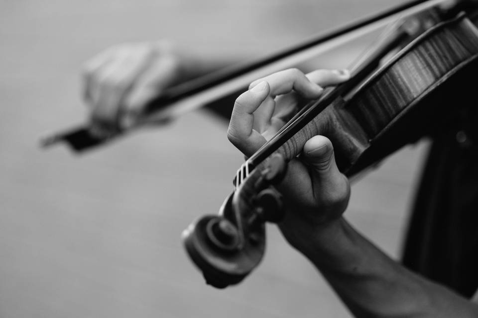 Violinista Brescia