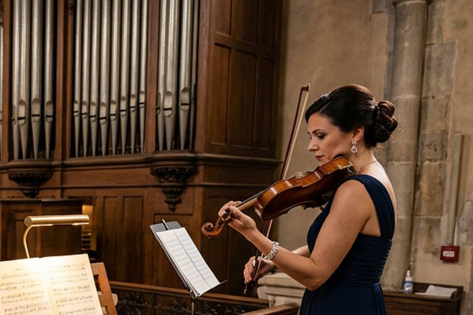 Violinista Brescia
