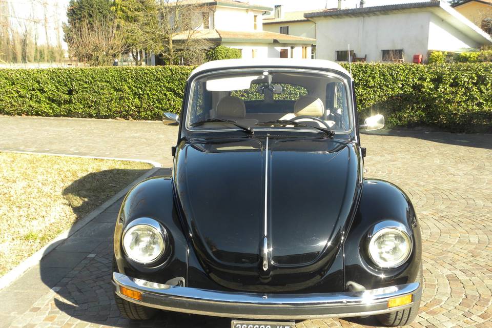 Maggiolone Max cabrio