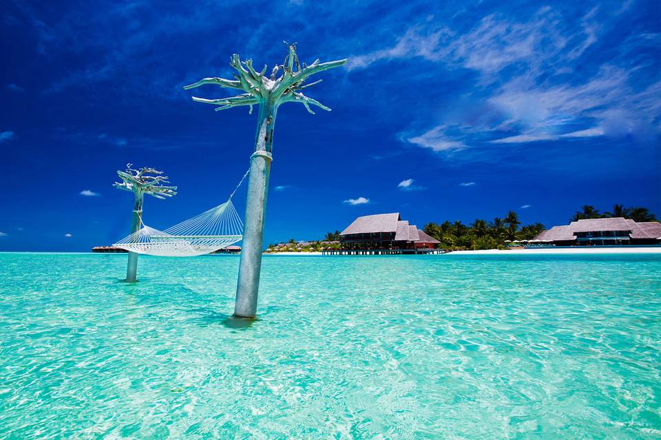 Maldive