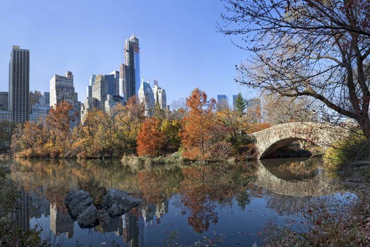 New york fall