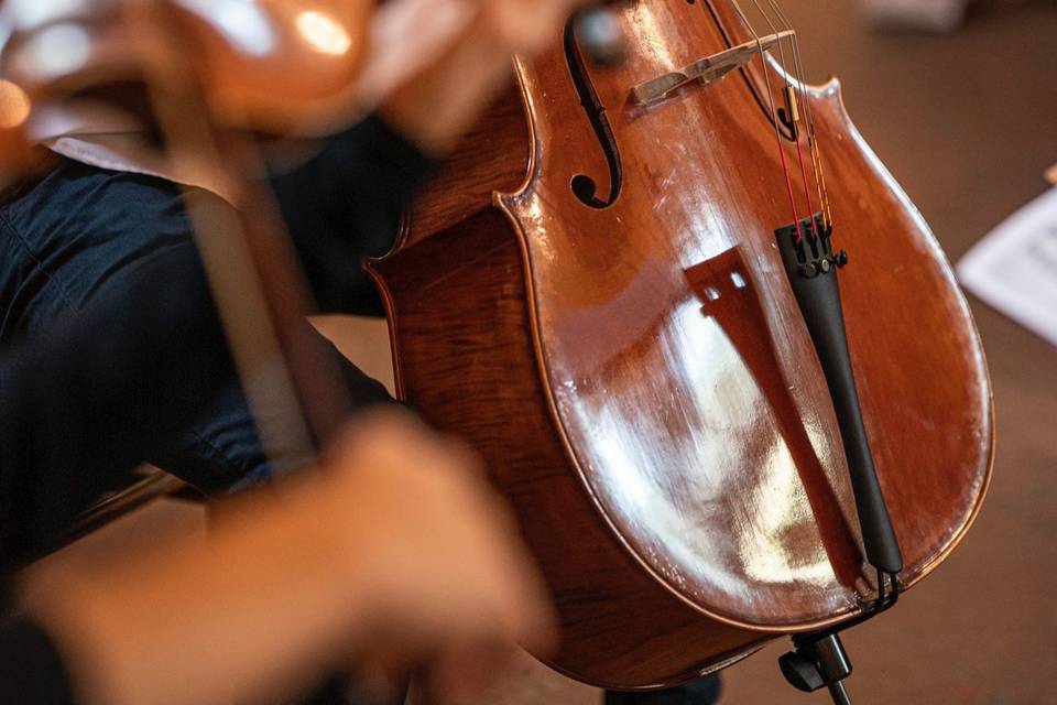 Violino e violoncello