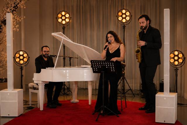 Hertz&Soul Trio