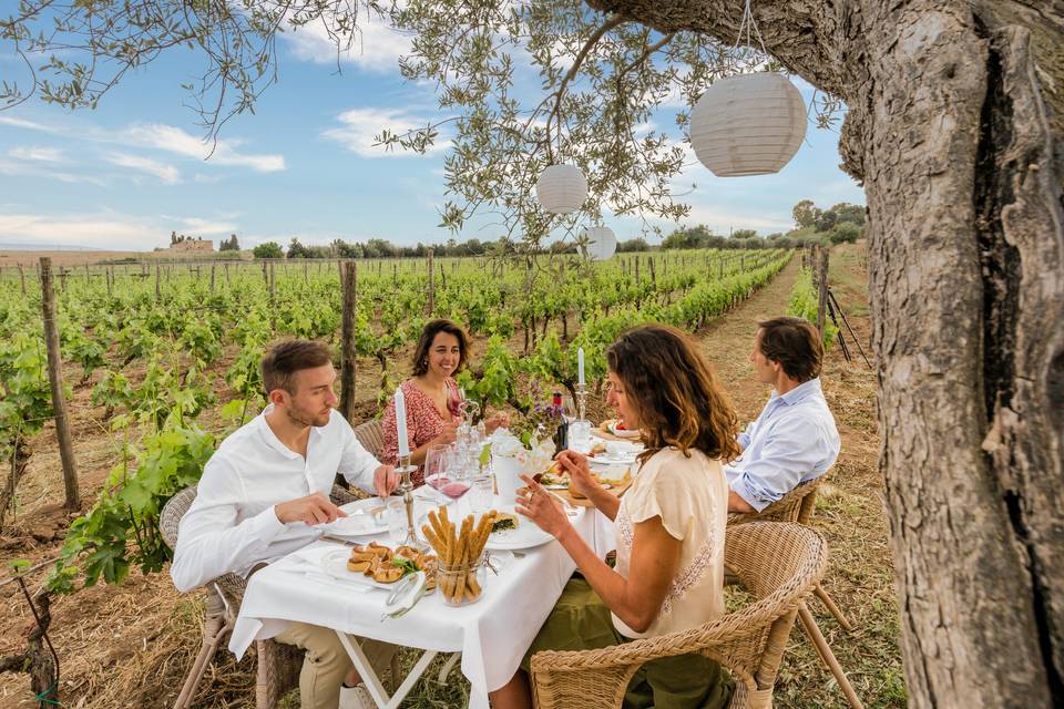 Lunch in the countryside