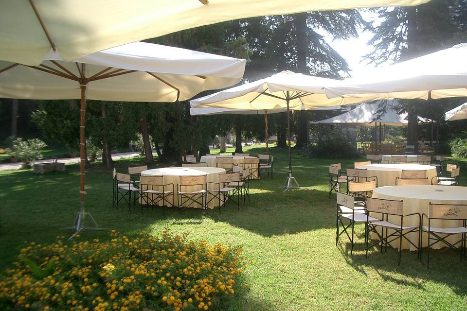 Buffet nel parco