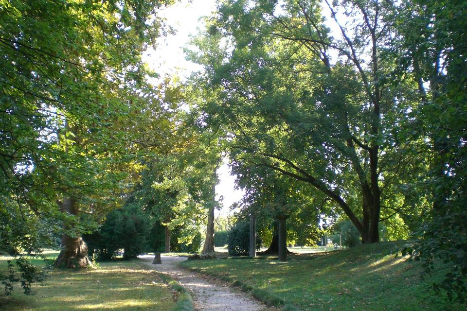 Passeggiata nel parco