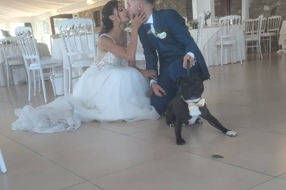 JL Wedding Dog Sitter